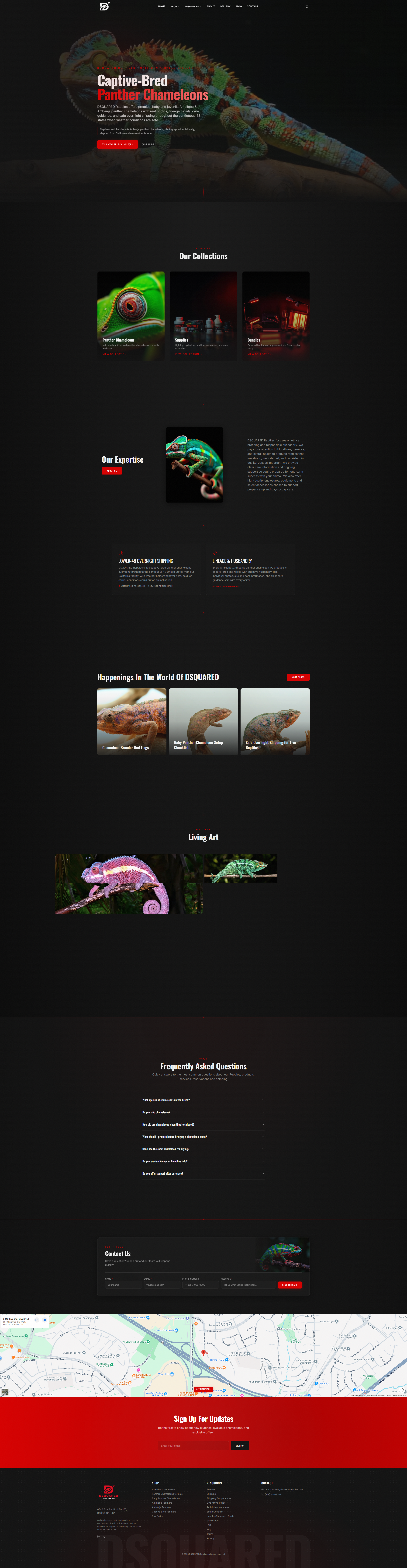 DSQUARED Reptiles full homepage design
