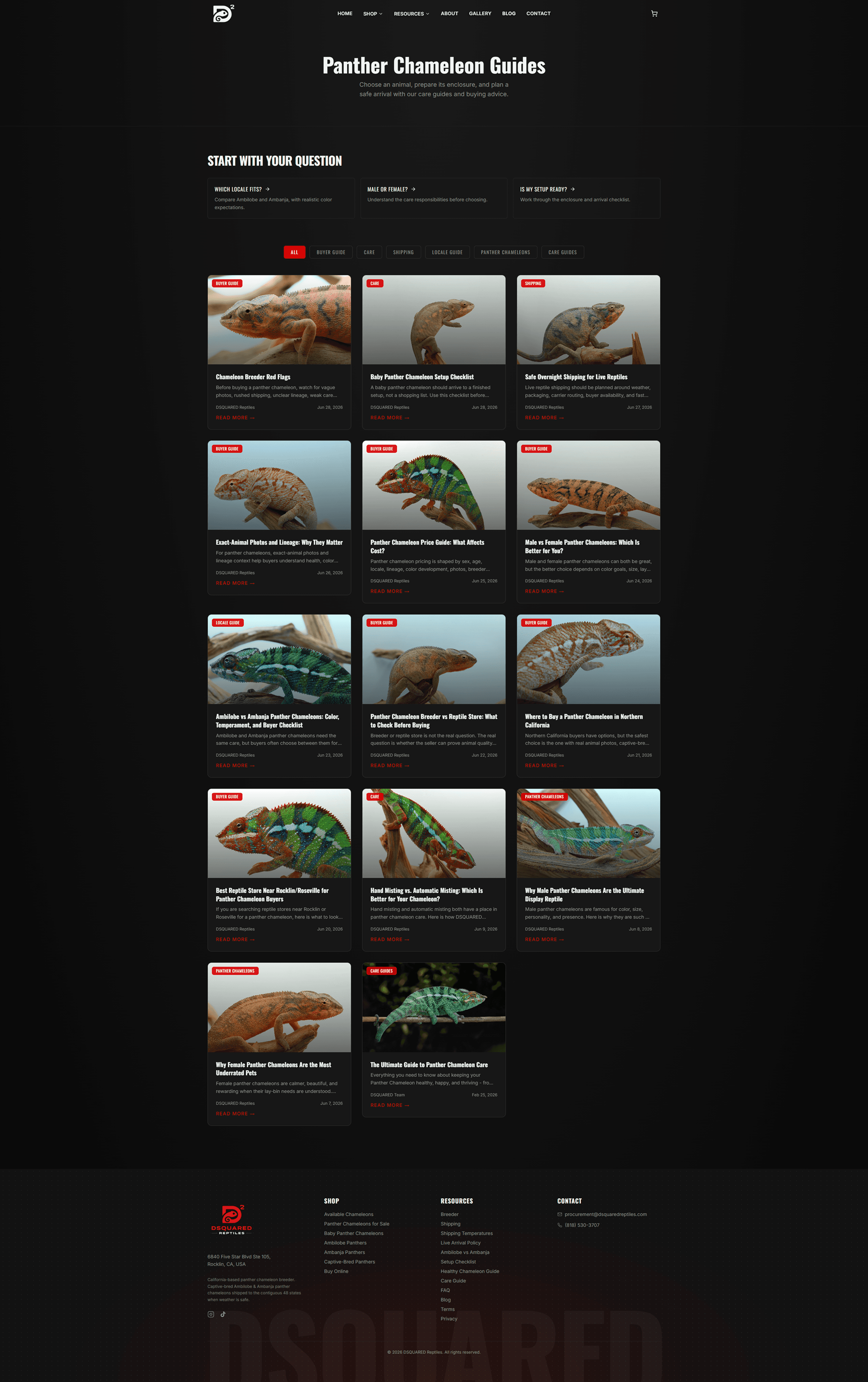DSQUARED Reptiles product and collection pages for captive-bred Panther Chameleons