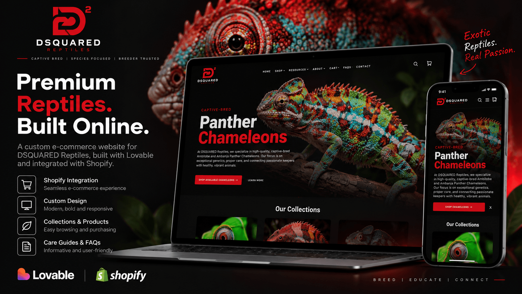 DSQUARED Reptiles e-commerce website built with Lovable and Shopify